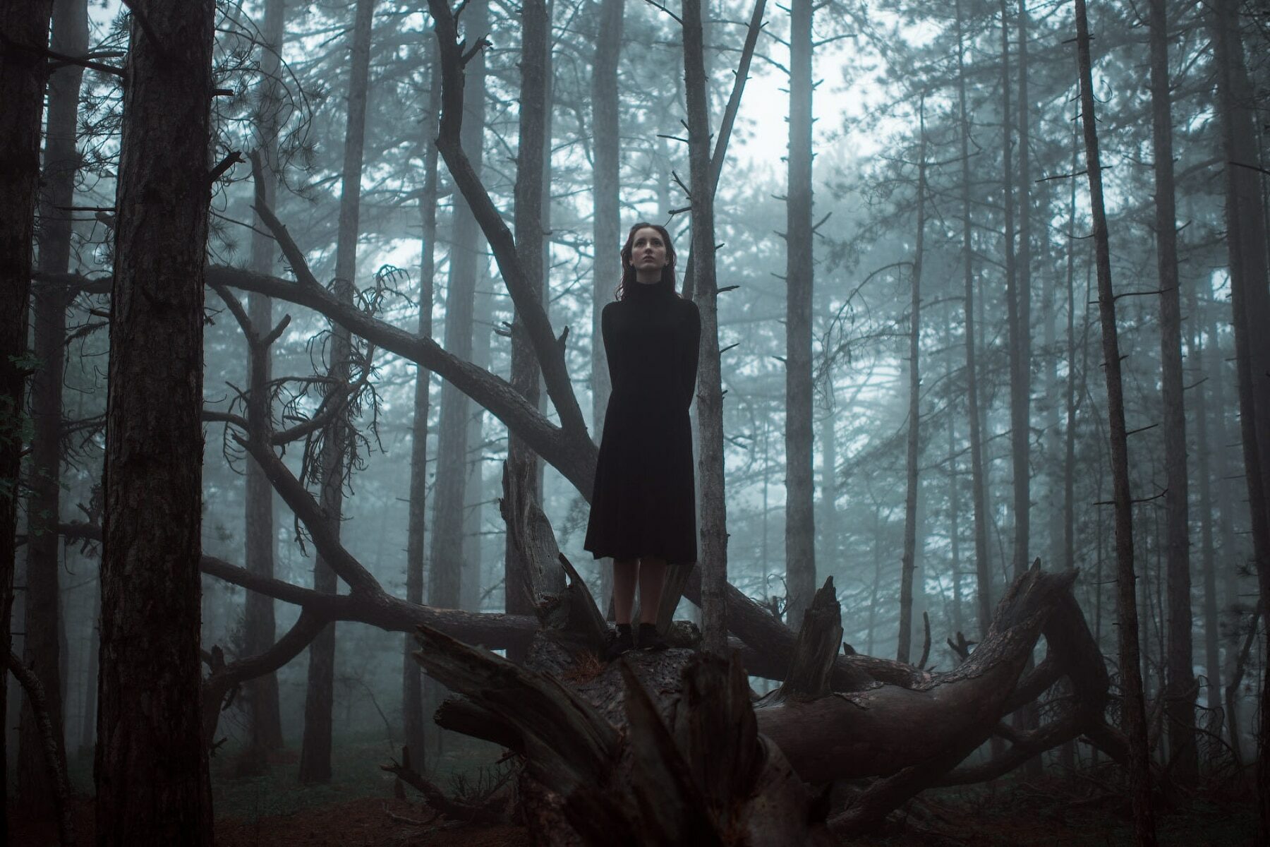 Development of the Gothic Heroine from Innocence to Experience