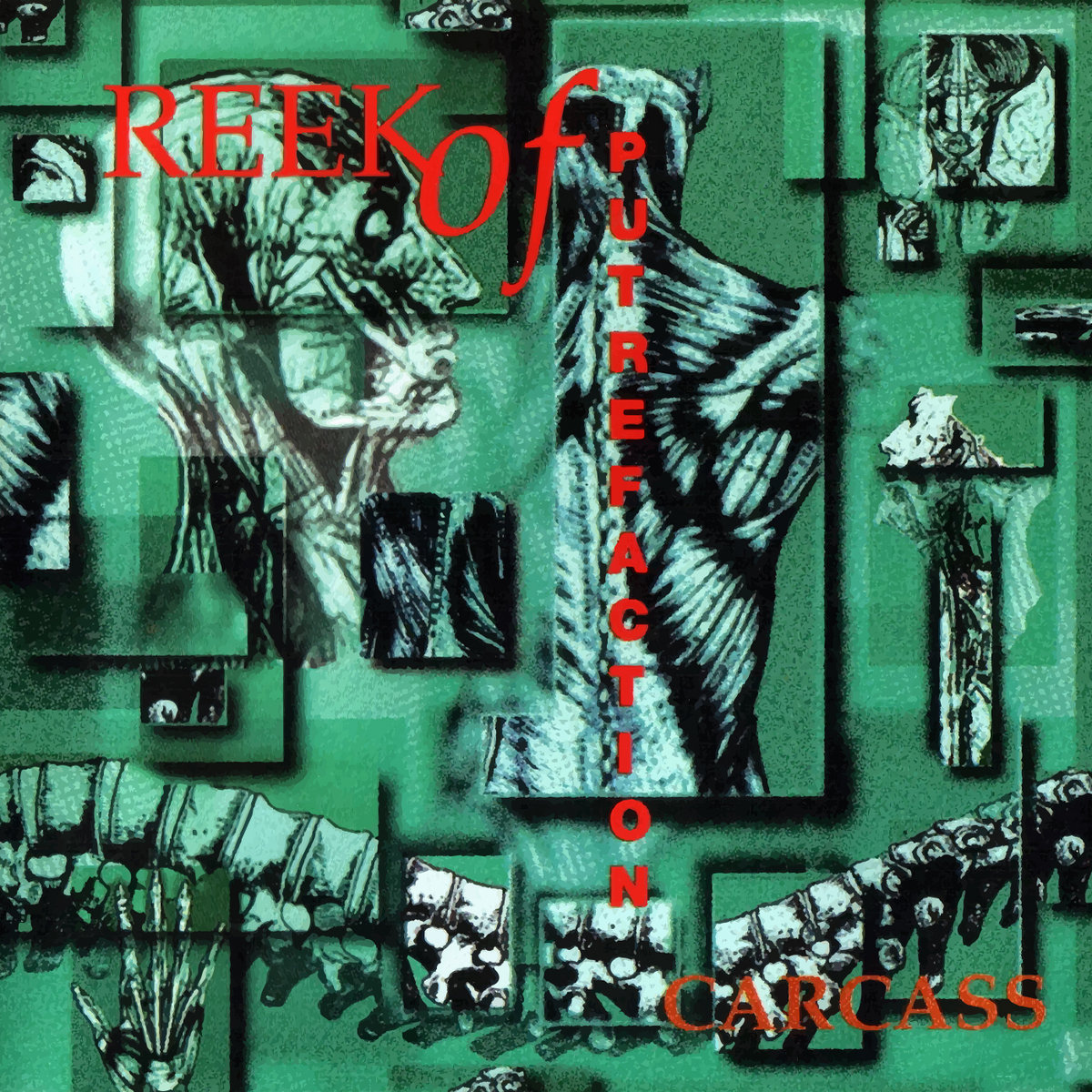 Carcass &ndash; &lsquo;Reek of Putrefaction&rsquo;