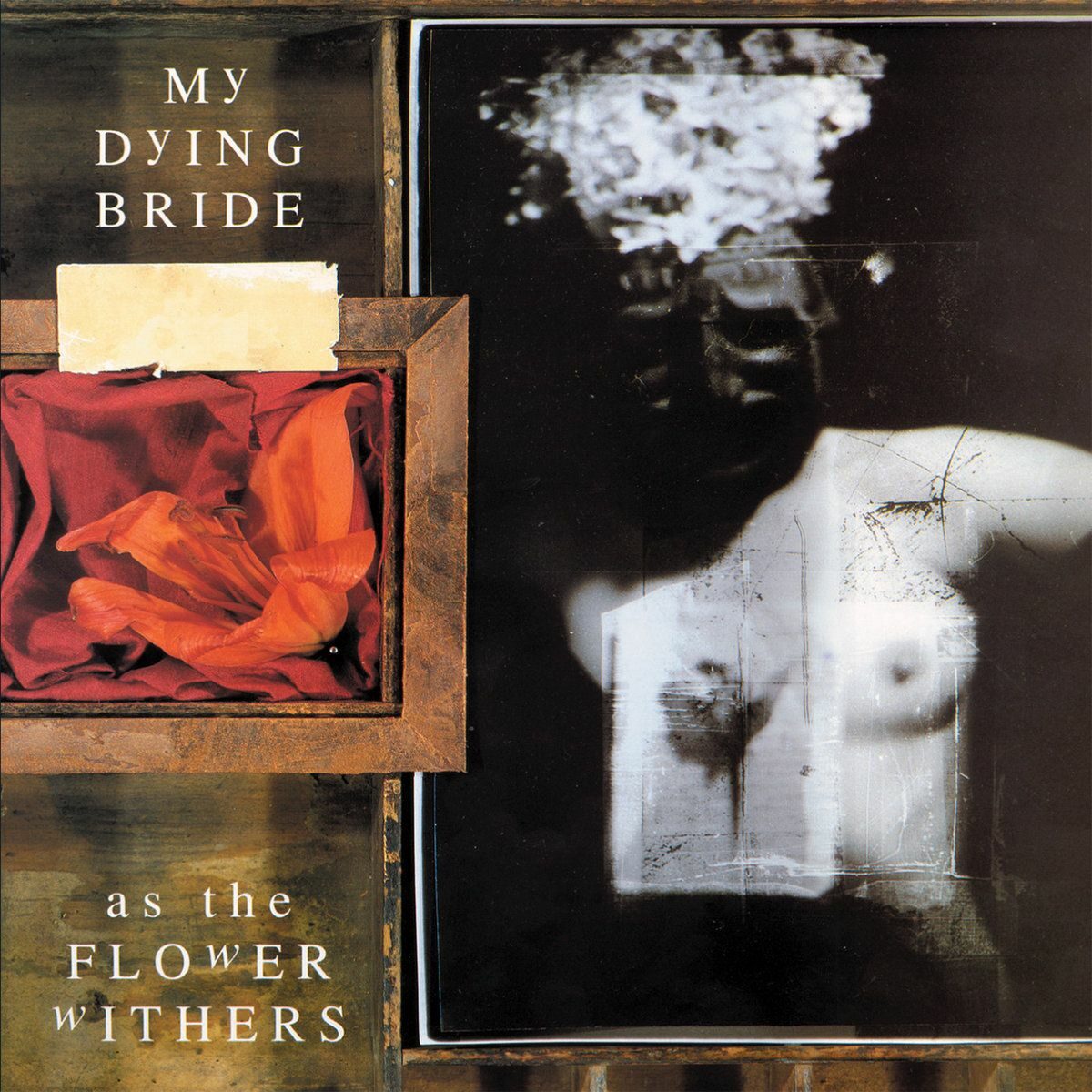 My Dying Bride - &lsquo;As the Flower Withers&rsquo;