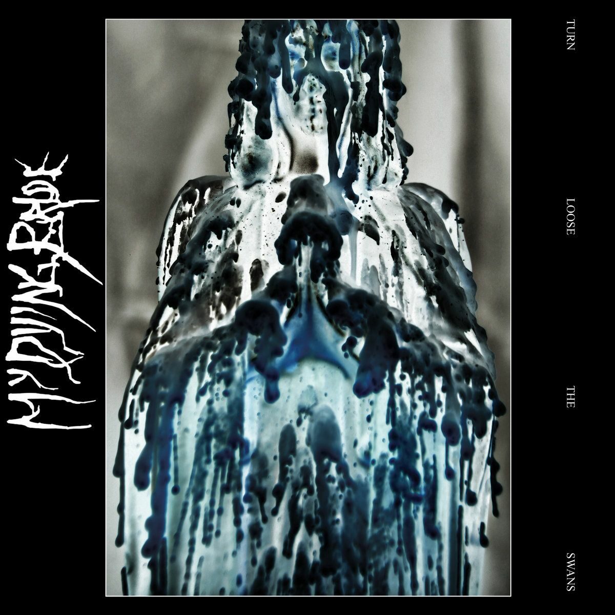 My Dying Bride - &lsquo;Turn Loose the Swans&rsquo;