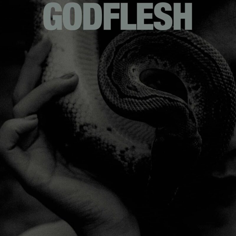 Godflesh - &lsquo;Purge&rsquo;