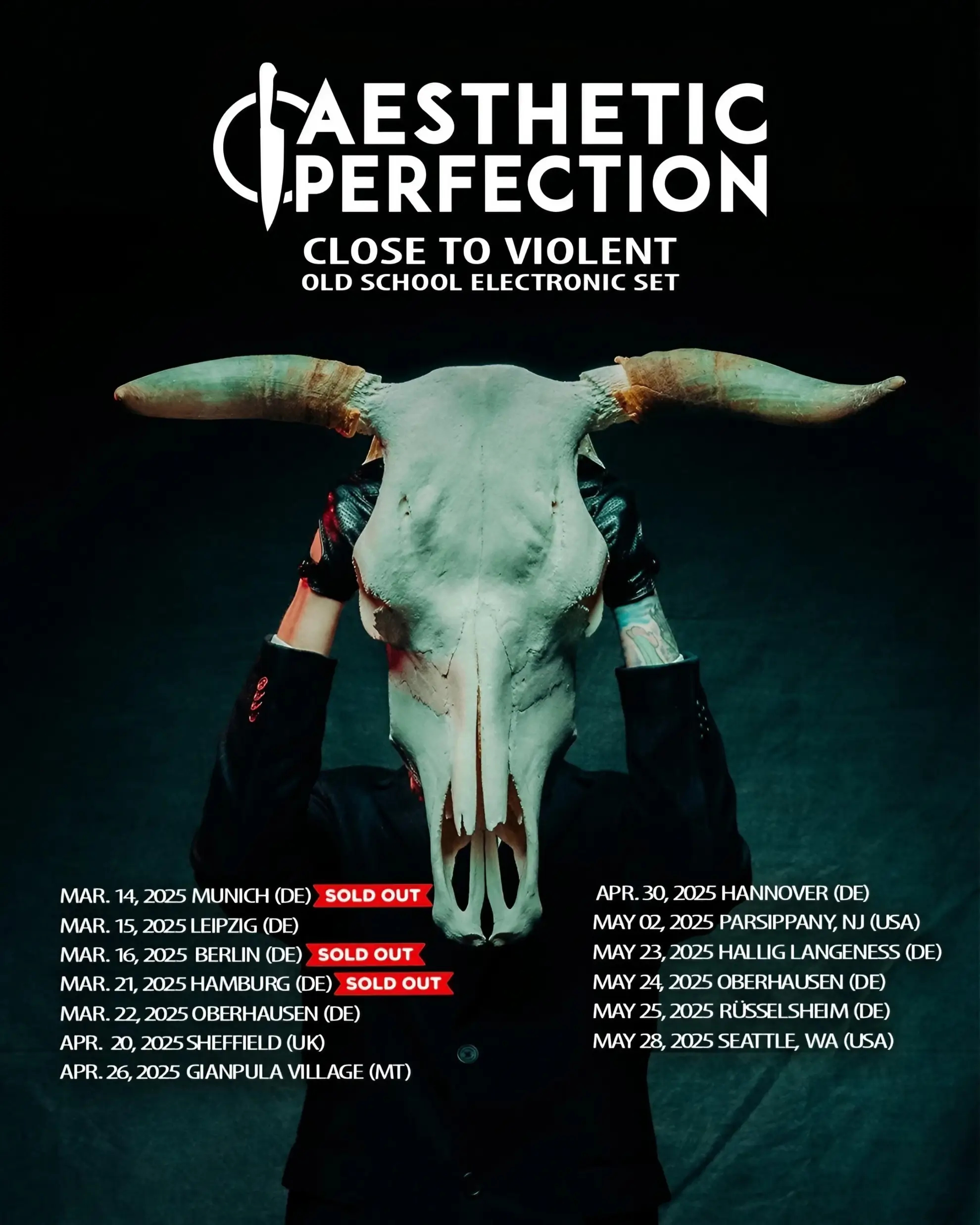 Aesthetic Perfection’s Close to Violent tour poster featuring dates, locations, and a figure holding a bull skull.