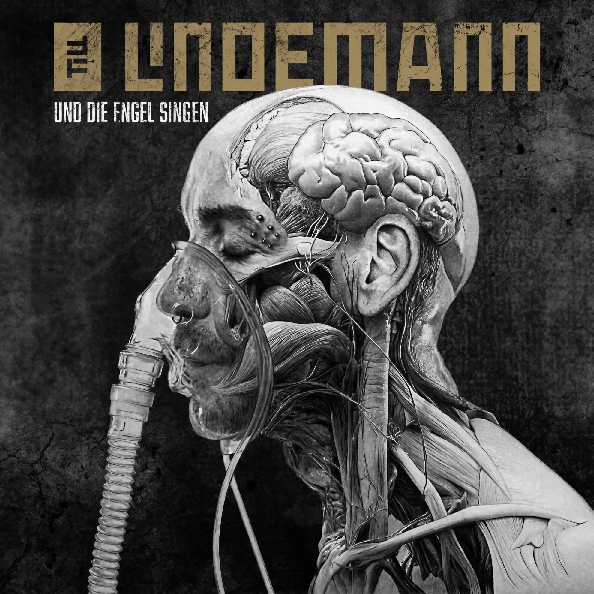 Anatomical illustration of a human head in profile with exposed muscles, nerves, and brain, on a dark textured background.
