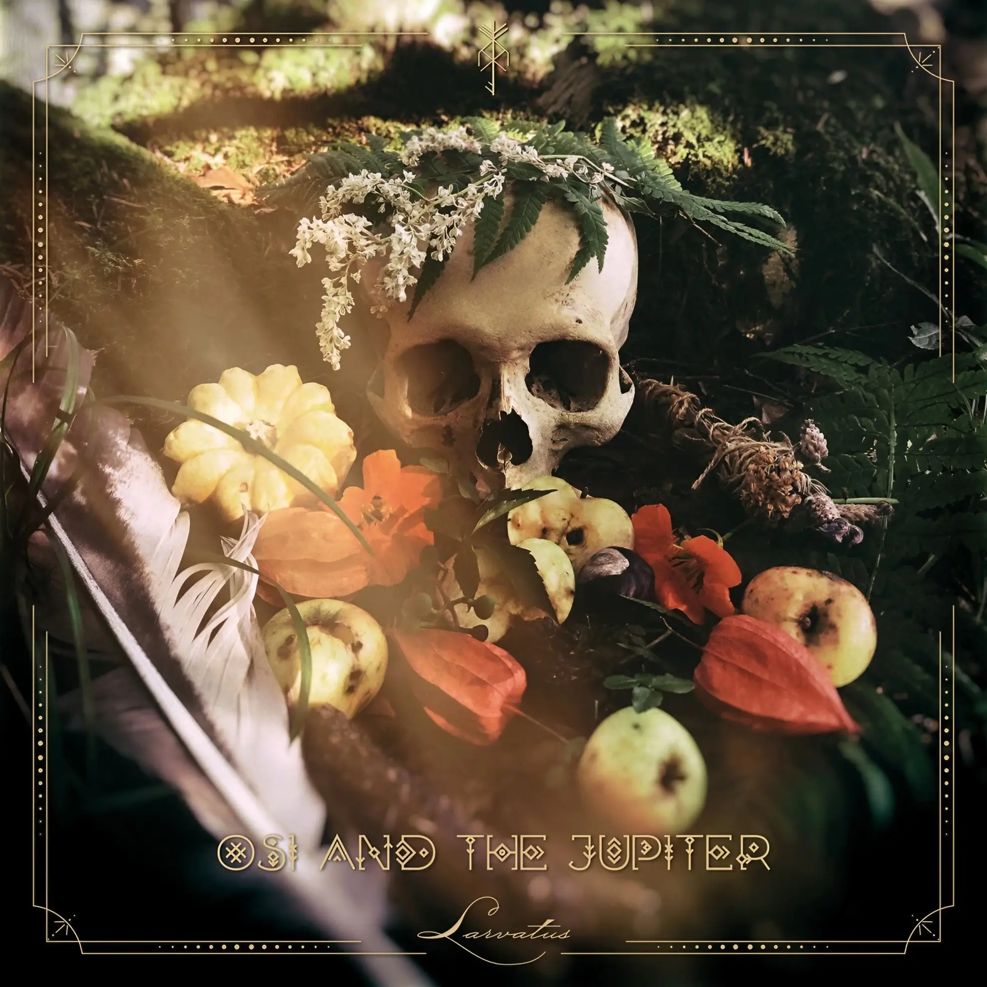 Human skull with fern and flower crown surrounded by apples, gourds, feathers, and foliage on a forest floor.