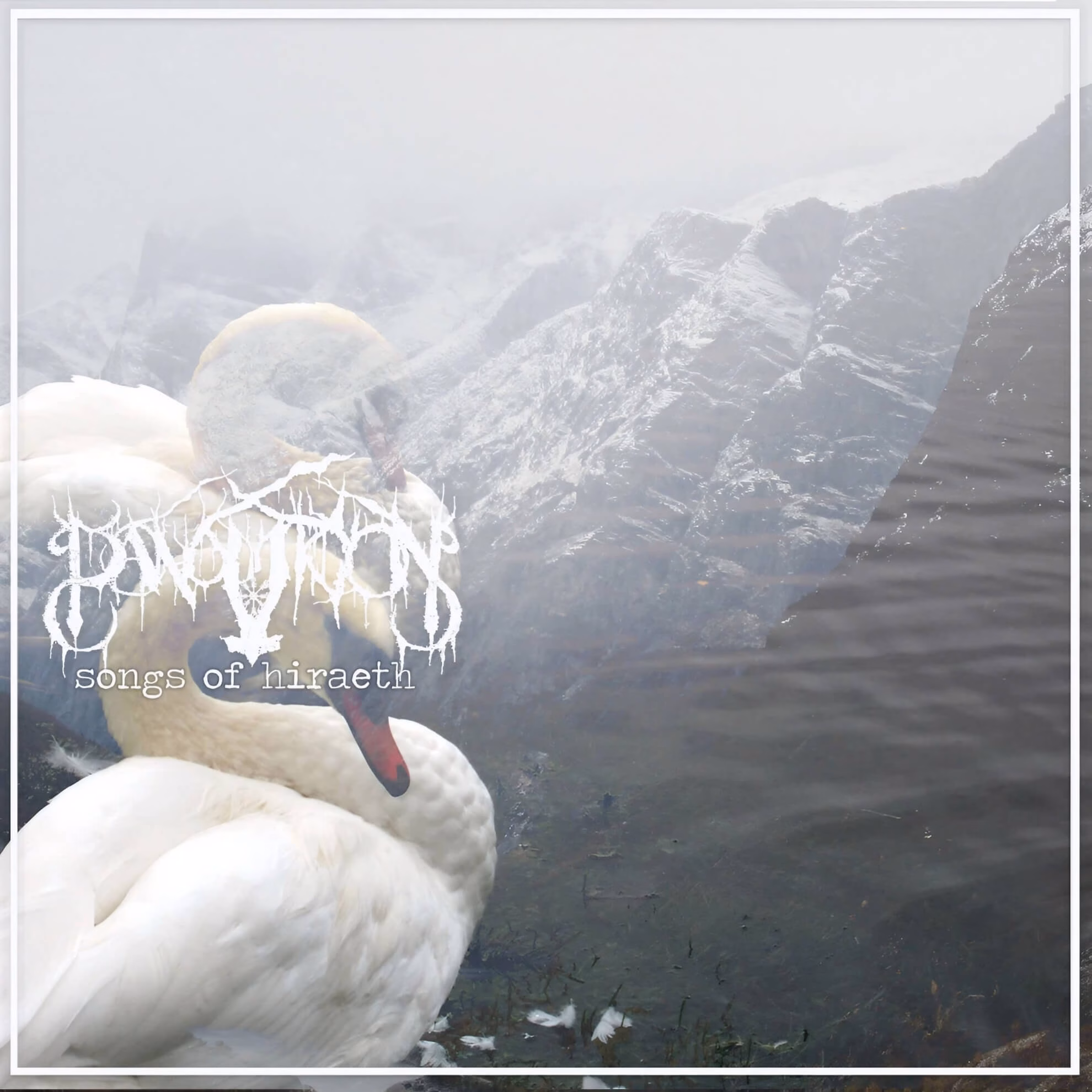 The album cover for &lsquo;Songs of Hiraeth&rsquo; shows two white swans superimposed over a misty, mountainous landscape.