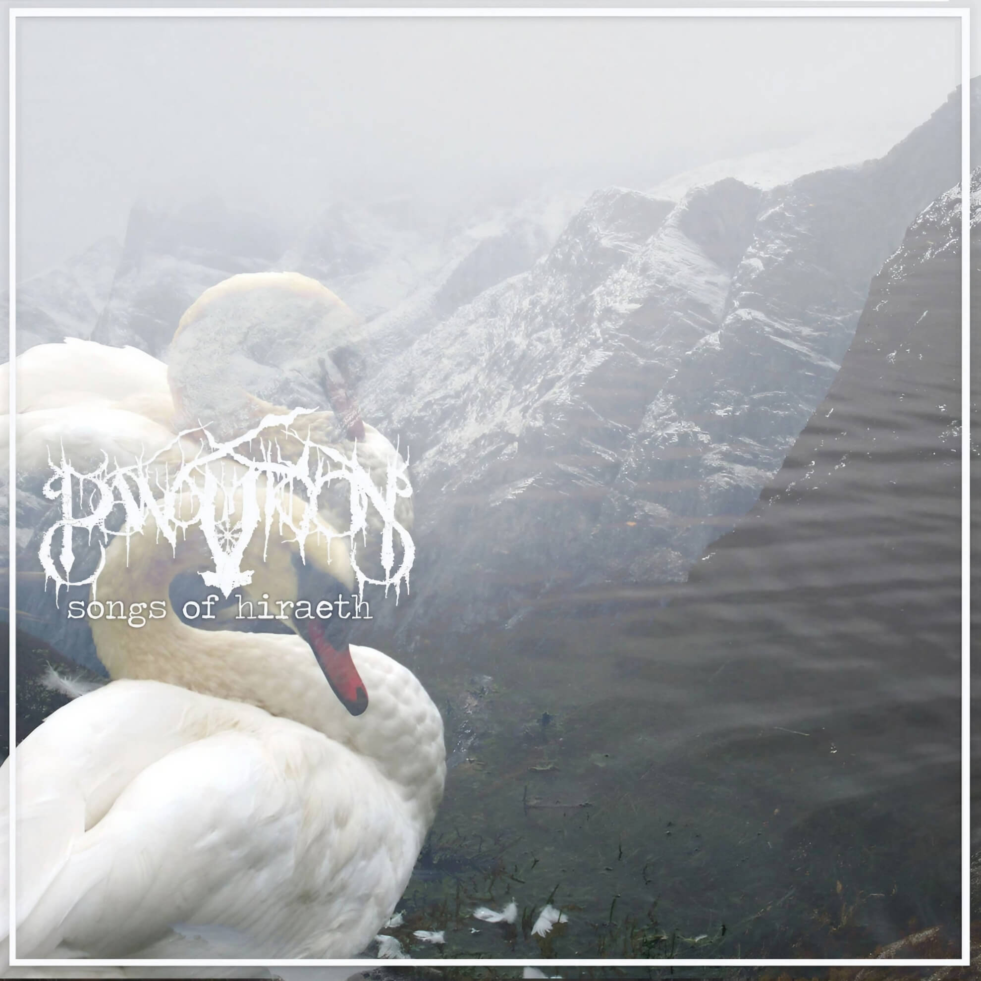 The album cover for ‘Songs of Hiraeth’ shows two white swans superimposed over a misty, mountainous landscape.