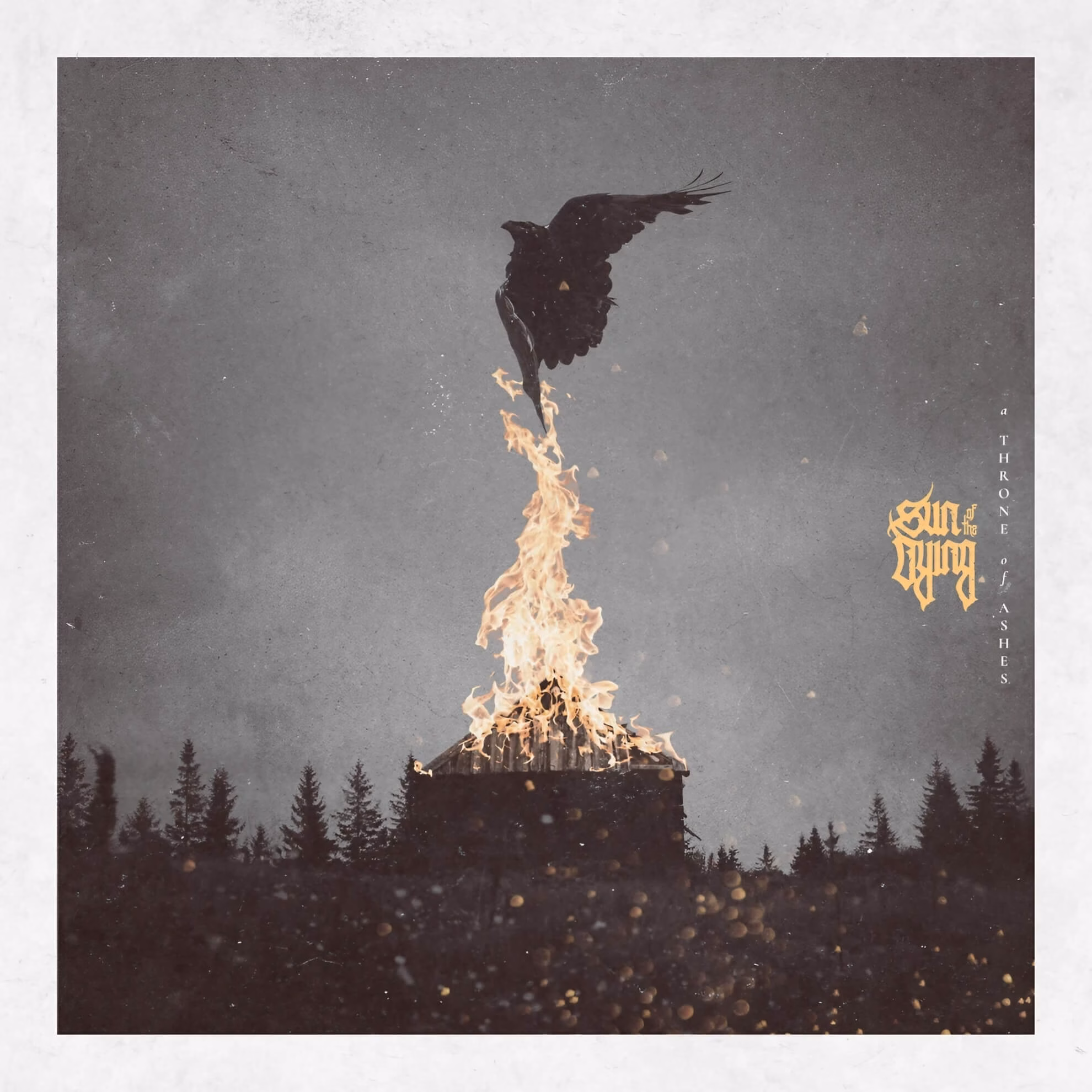 The album cover for ‘A Throne of Ashes.’ A large black raven ascends from a bonfire against a dark, cloudy sky over a forest.