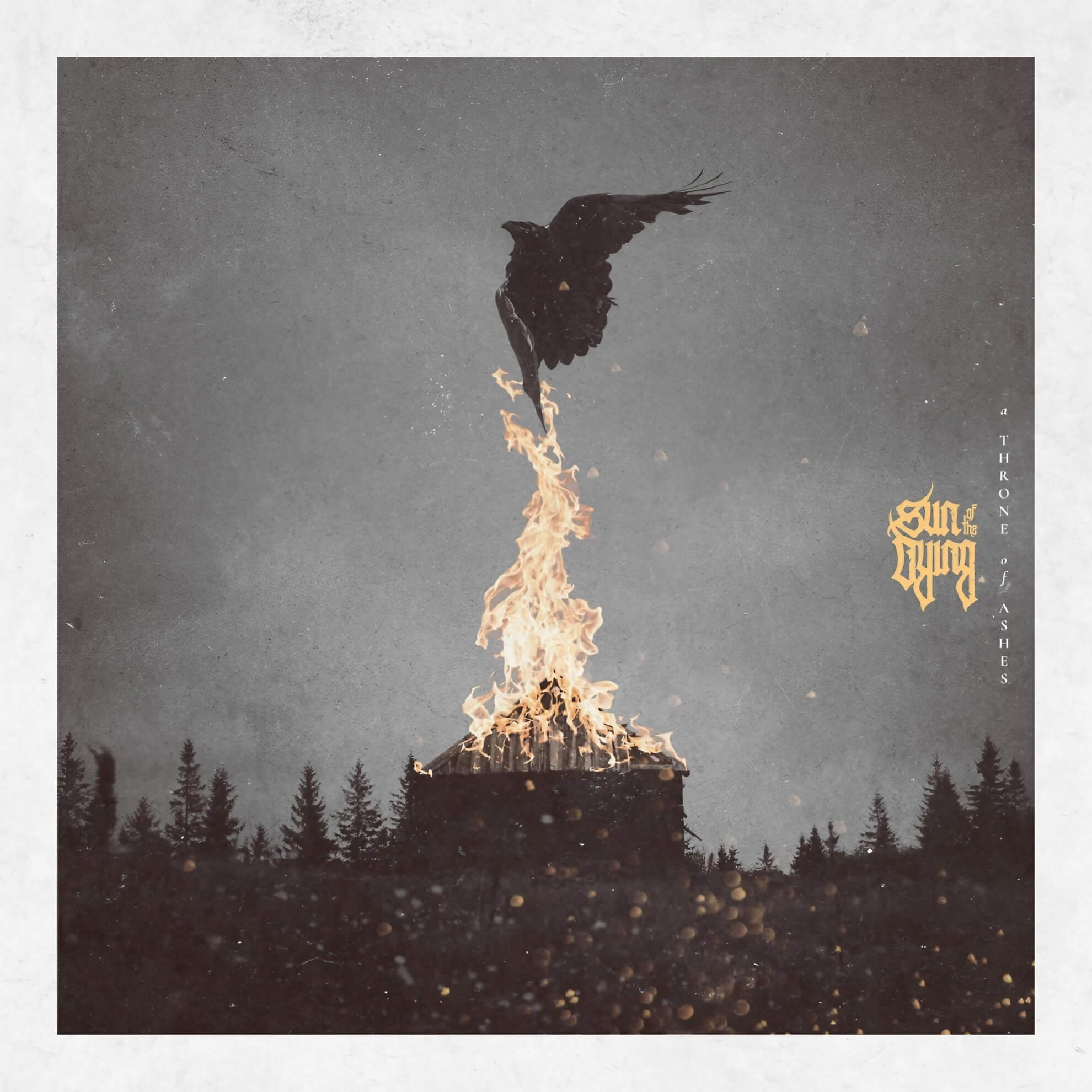 The album cover for ‘A Throne Of Ashes.’ A large black raven ascends from a bonfire against a dark, cloudy sky over a forest.