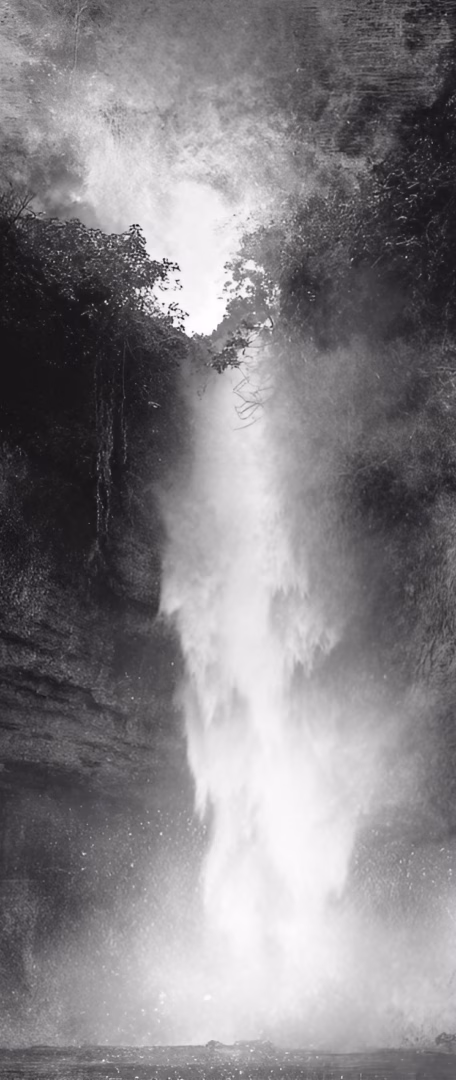 AExpo A black and white, atmospheric image of a powerful waterfall cascading down a dark, rocky cliff surrounded by dense foliage.