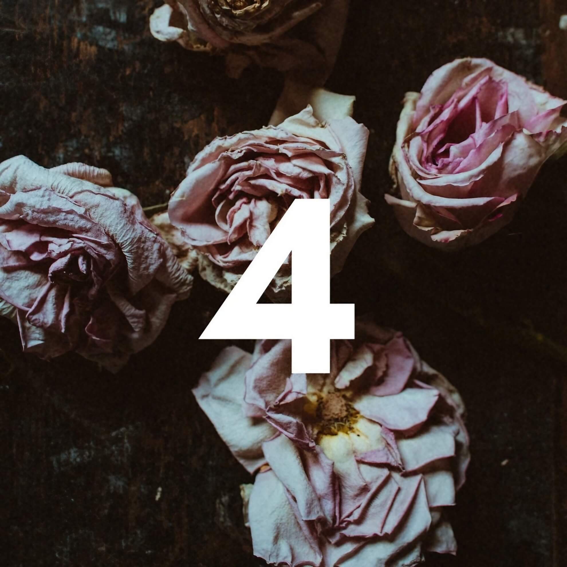 Album cover for &lsquo;Alma&rsquo; by 4 by Ricardo Dias dos Santos. Four dried roses in faded pink tones, photographed from above on a dark, textured surface. The numeral 4 in large white sans-serif type is centred over the image. No further text is present.