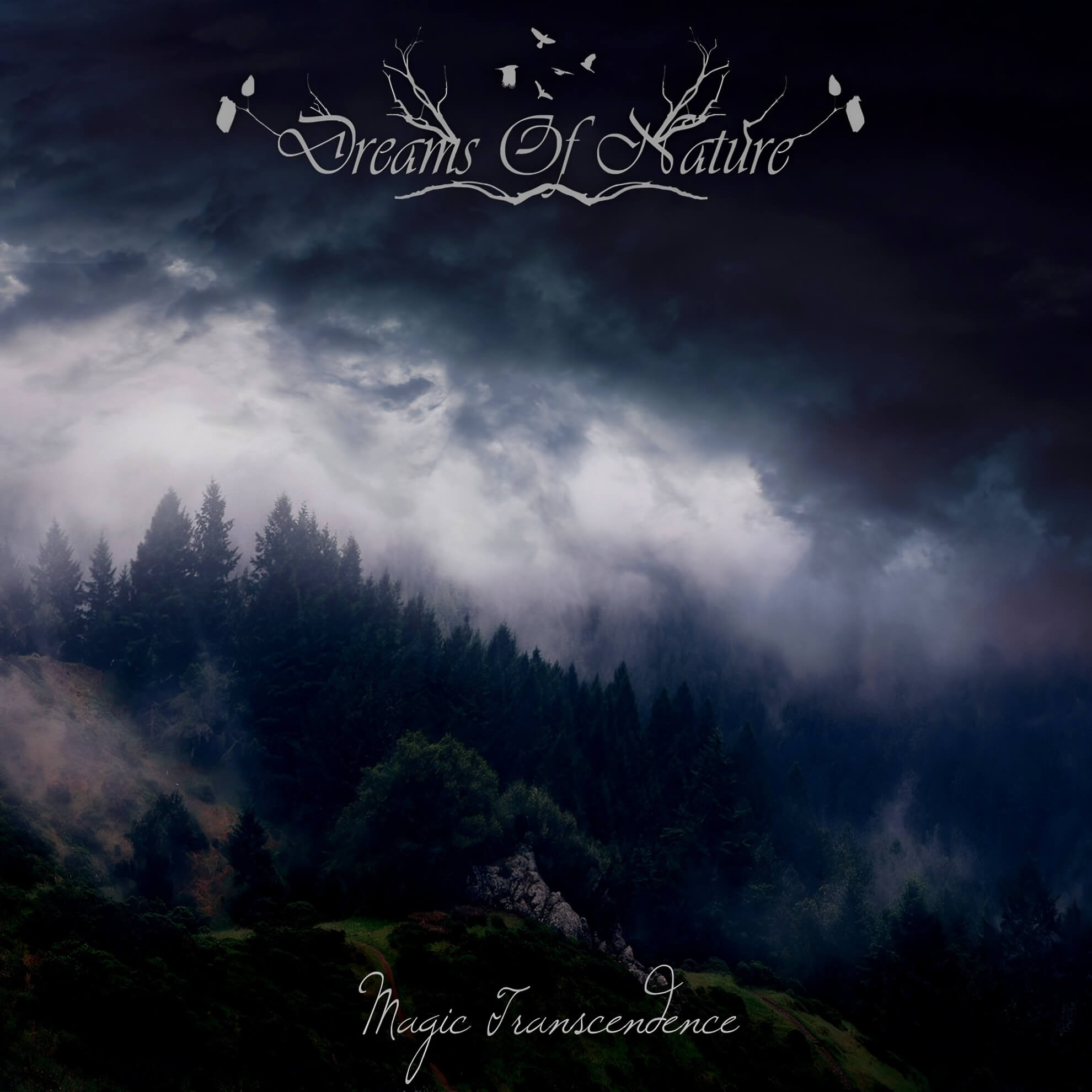 A dark composite photograph of a steep forested hillside at dusk or under overcast skies, dense conifers in the mid-ground silhouetted against a dramatic layer of low mist and churning dark cloud that dominates the upper two thirds of the image.