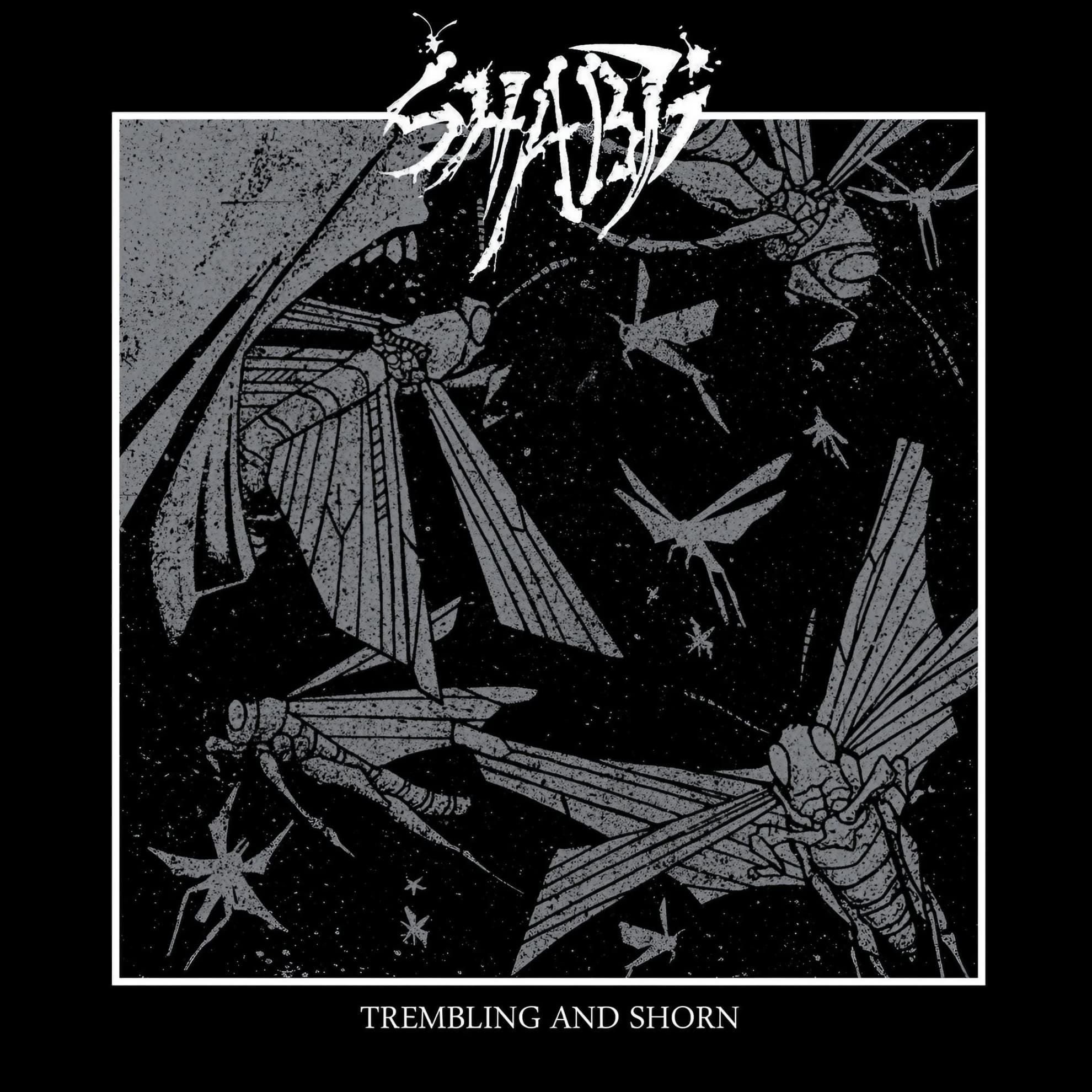 Shabti Send Servants on ‘Haze, Cacophony, and White Light’ Shabti ‘Trembling and Shorn’ album cover: gray winged insect figures on a black, starred background.
