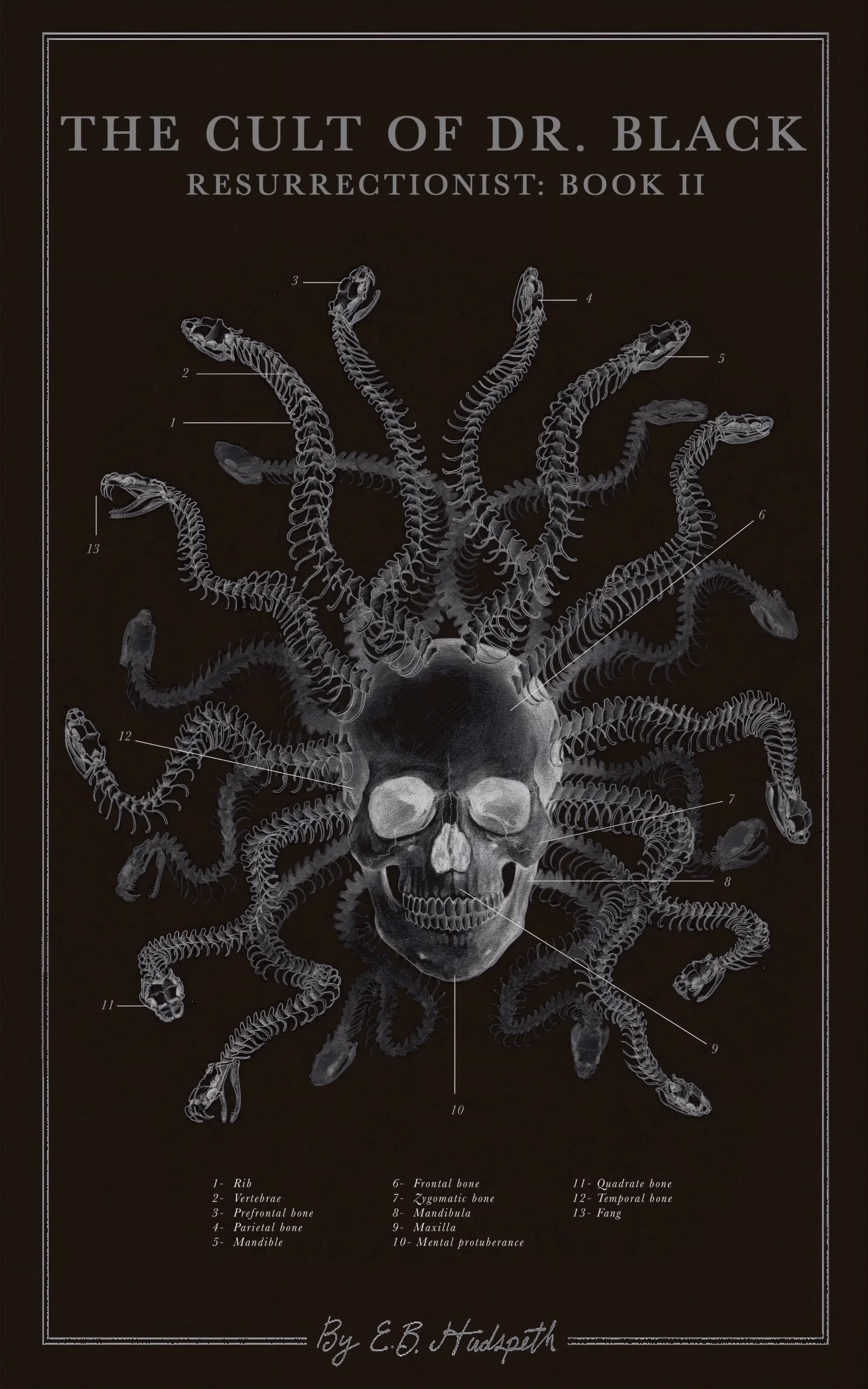 ‘The Cult of Dr. Black’ by E. B. Hudspeth, a Medusa skeleton cover illustration.
