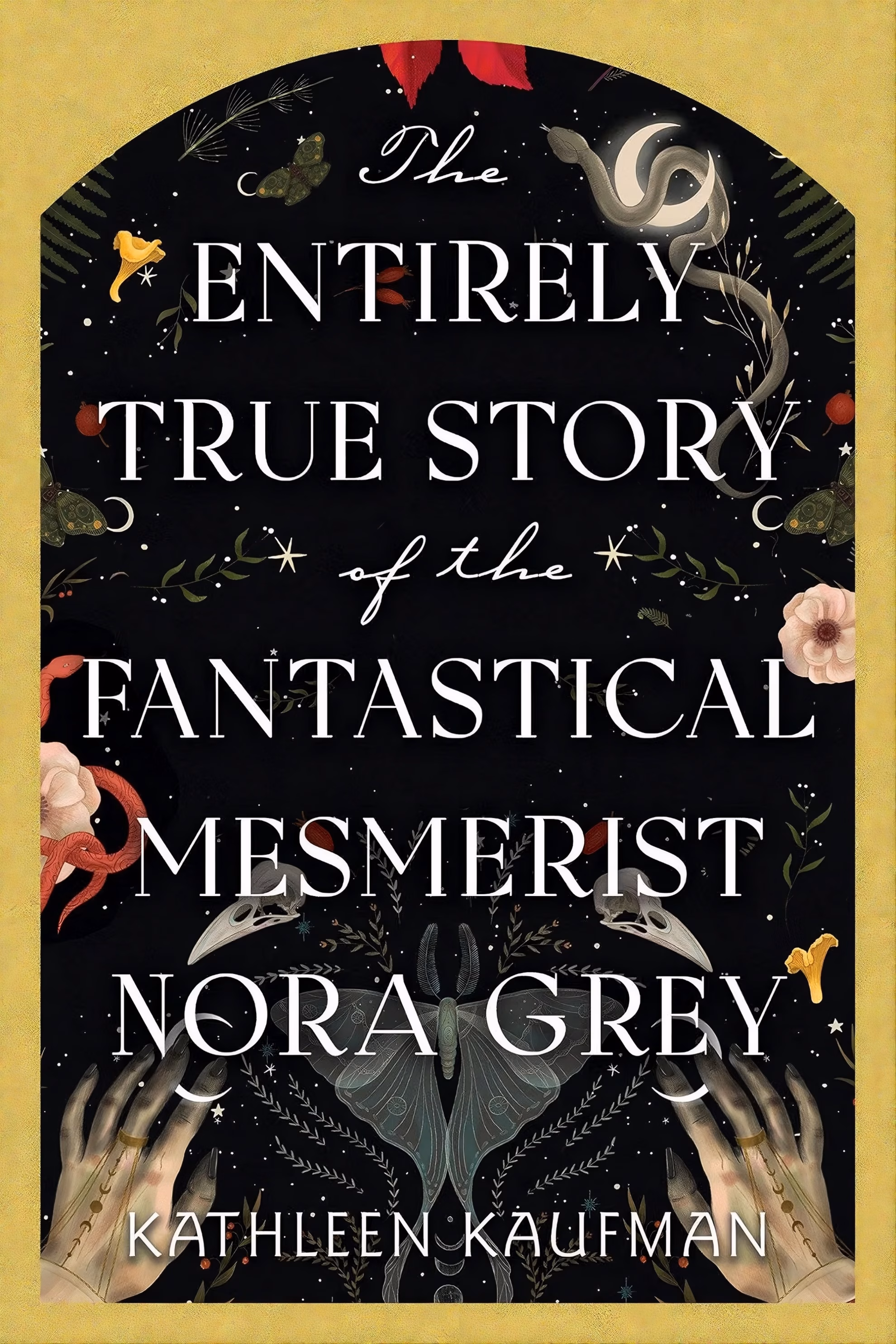 Kaufman Charts ‘Beyond the Graves Waits Mist and Sea’ ‘The Entirely True Story of the Fantastical Mesmerist Nora Grey’ by Kathleen Kaufman: reaching hands and a moth.