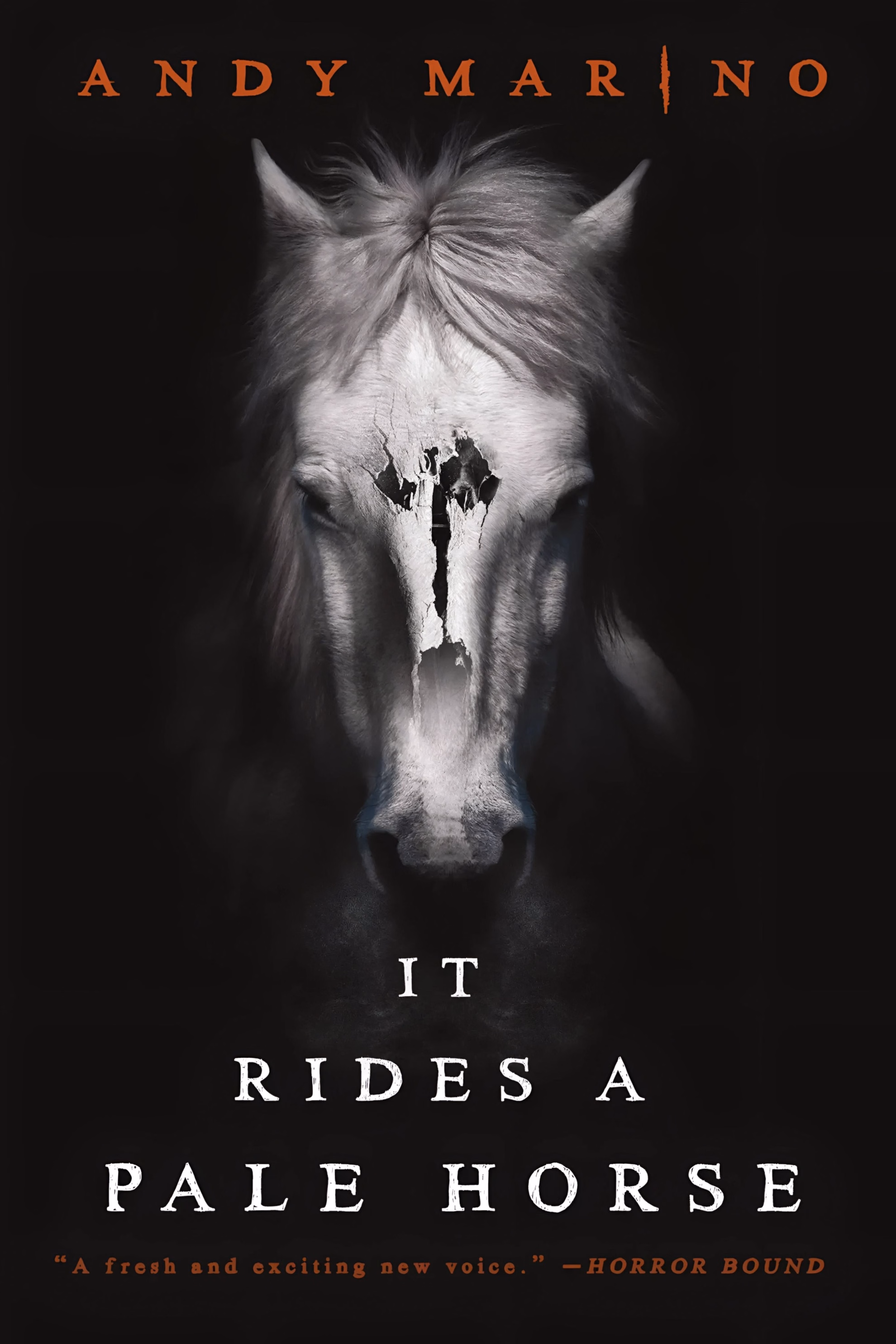 Book cover of ‘It Rides a Pale Horse’ by Andy Marino. A white horse’s face looms from darkness, a cracked patch splitting its forehead and muzzle.